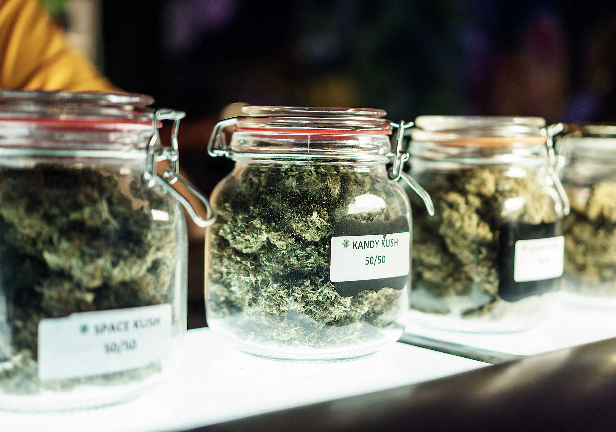 Cannabis Retail Store License to Cost $25,000 Annually, Event Organizer Permits $1,000, Board Establishes in Latest Meeting