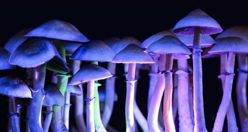 New study provides further support for psilocybin's potential to treat depressive symptoms