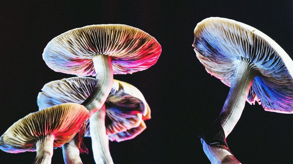 Psilocybin may be as effective as common antidepressant in treating depression