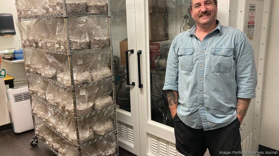 Chocolate covered psychedelic mushrooms, anyone? Oregon grants first psilocybin edibles license