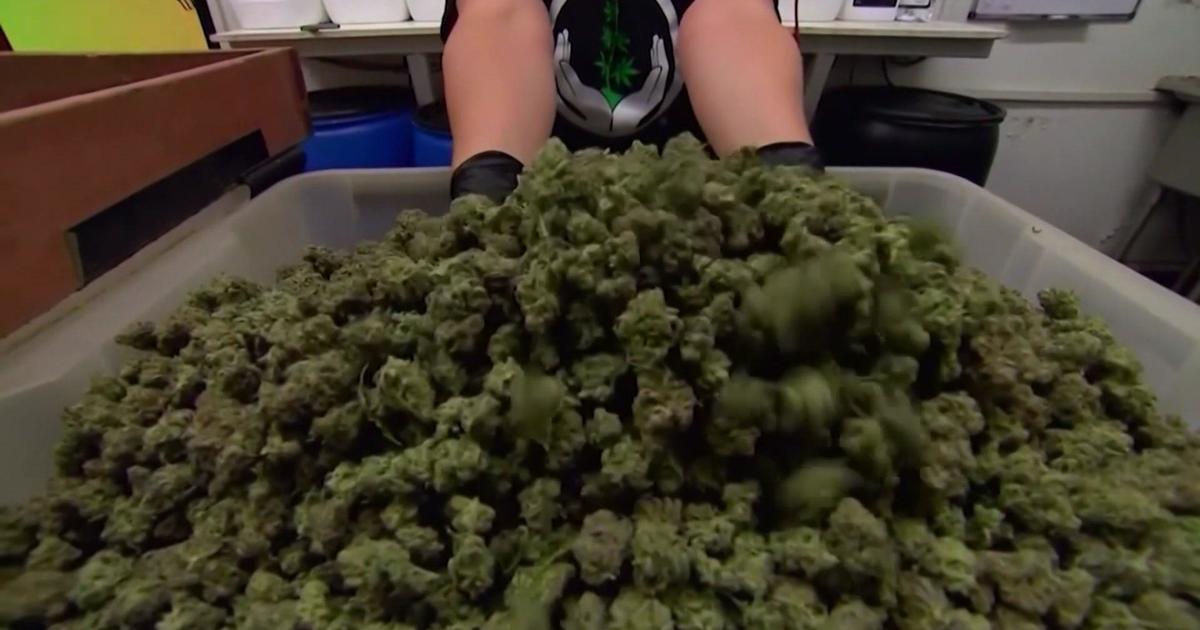 Smell of weed is not probable cause to search vehicle, Illinois Supreme Court rules