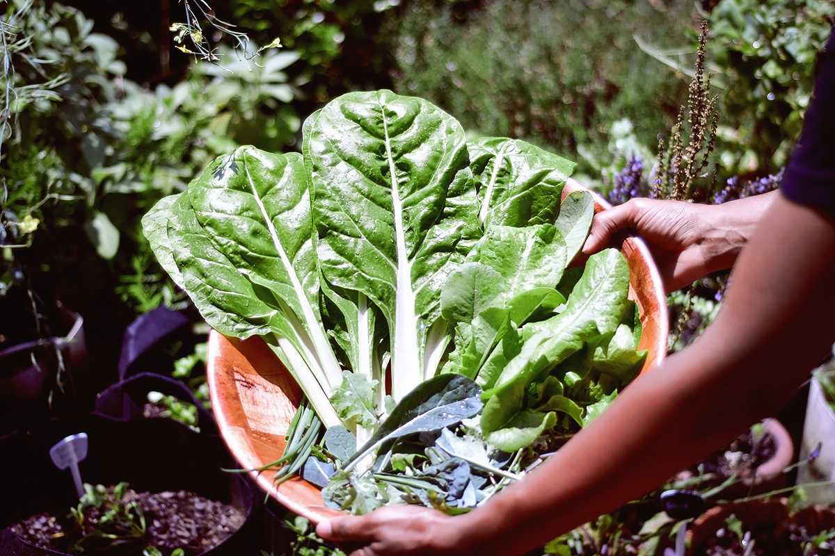 The 10 Healthiest Vegetables All Have This in Common