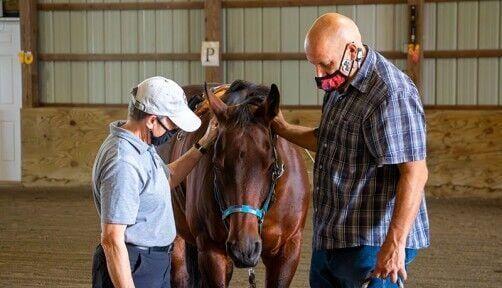 Caring for Horses Could Help Veterans Battling PTSD