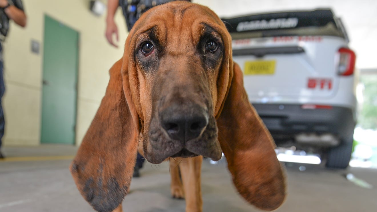 VA to bring specialty health care to veterans with new clinic in Vero Beach early in 2025