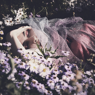 Connecting Psilocybin, Mushrooms, and Dreaming