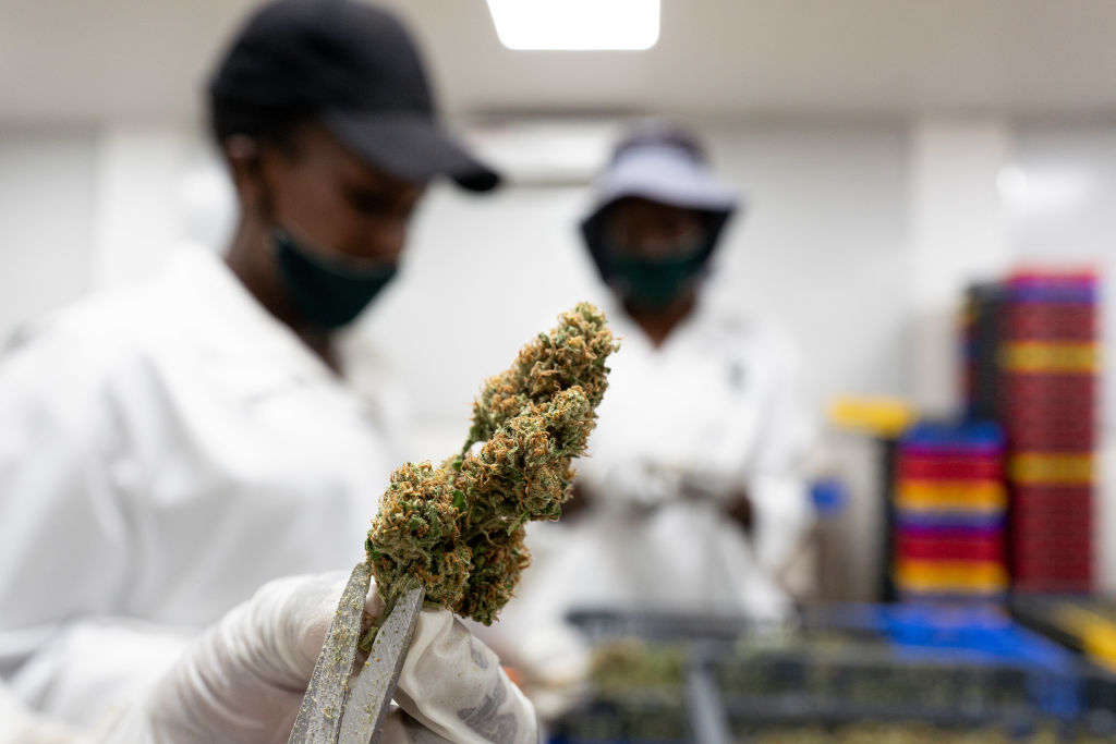 Gary Payton Partners With Green Label Rx To Launch ‘Greater Purpose’ Cannabis Brand