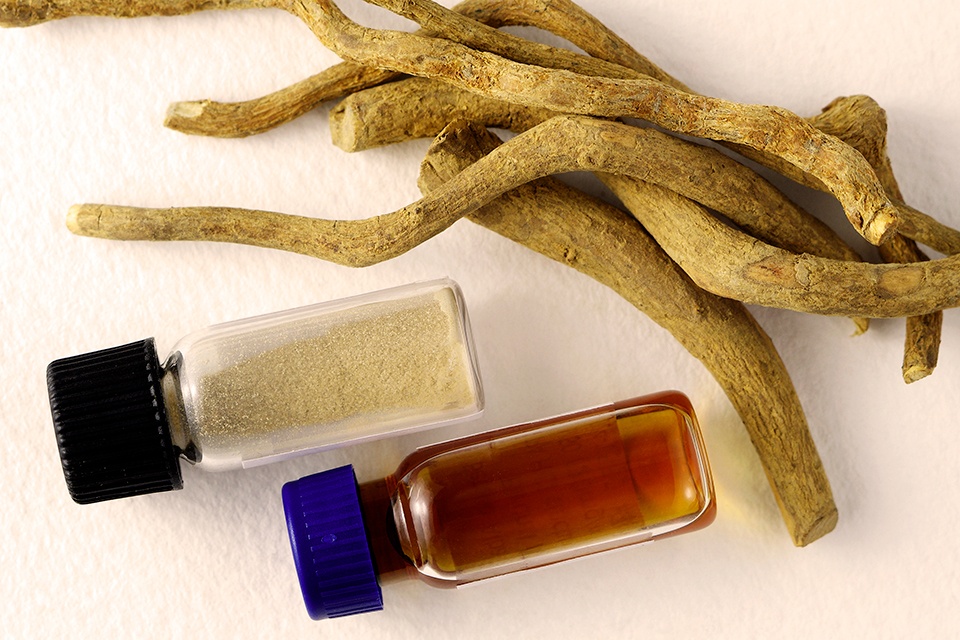 What’s the Deal with Ibogaine?