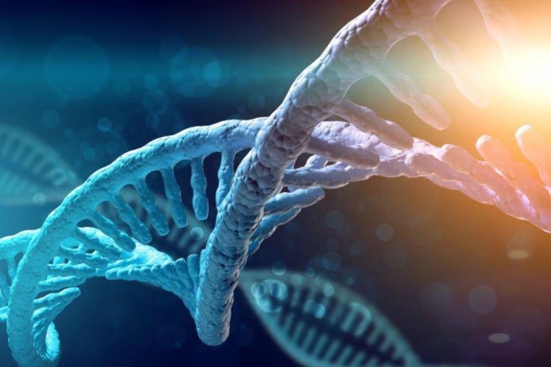 New gene therapy shows 'life-changing' promise for hemophilia B