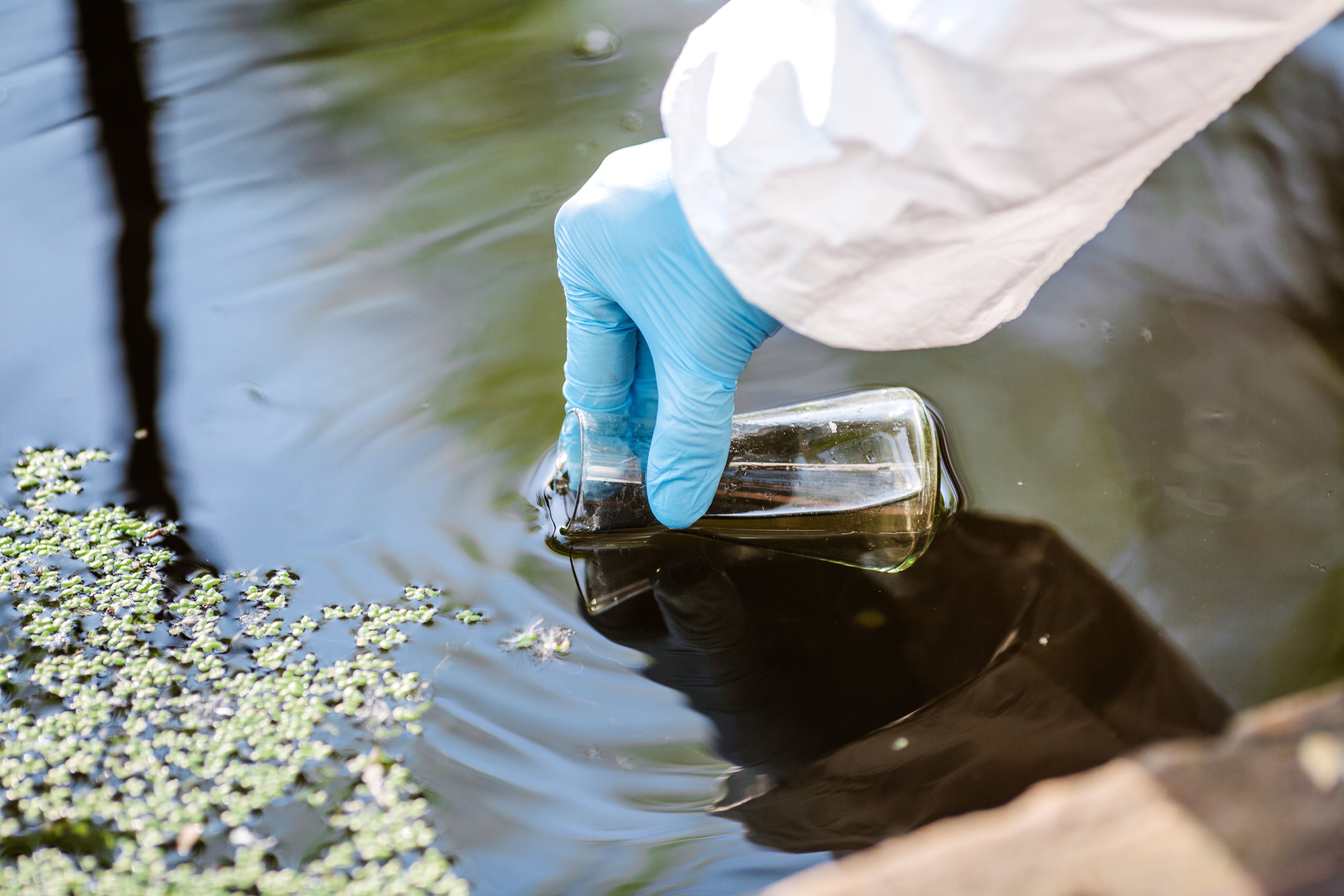 Artificial Intelligence and Machine Learning: Assessing Water Quality