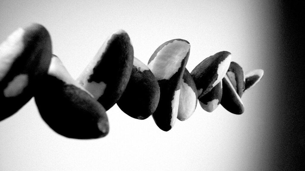 Eating Brazil nuts daily may reduce inflammation, improve gut health