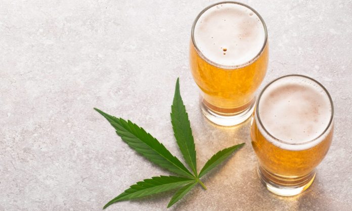Did You Know Cannabis Was Related To This Popular Drink