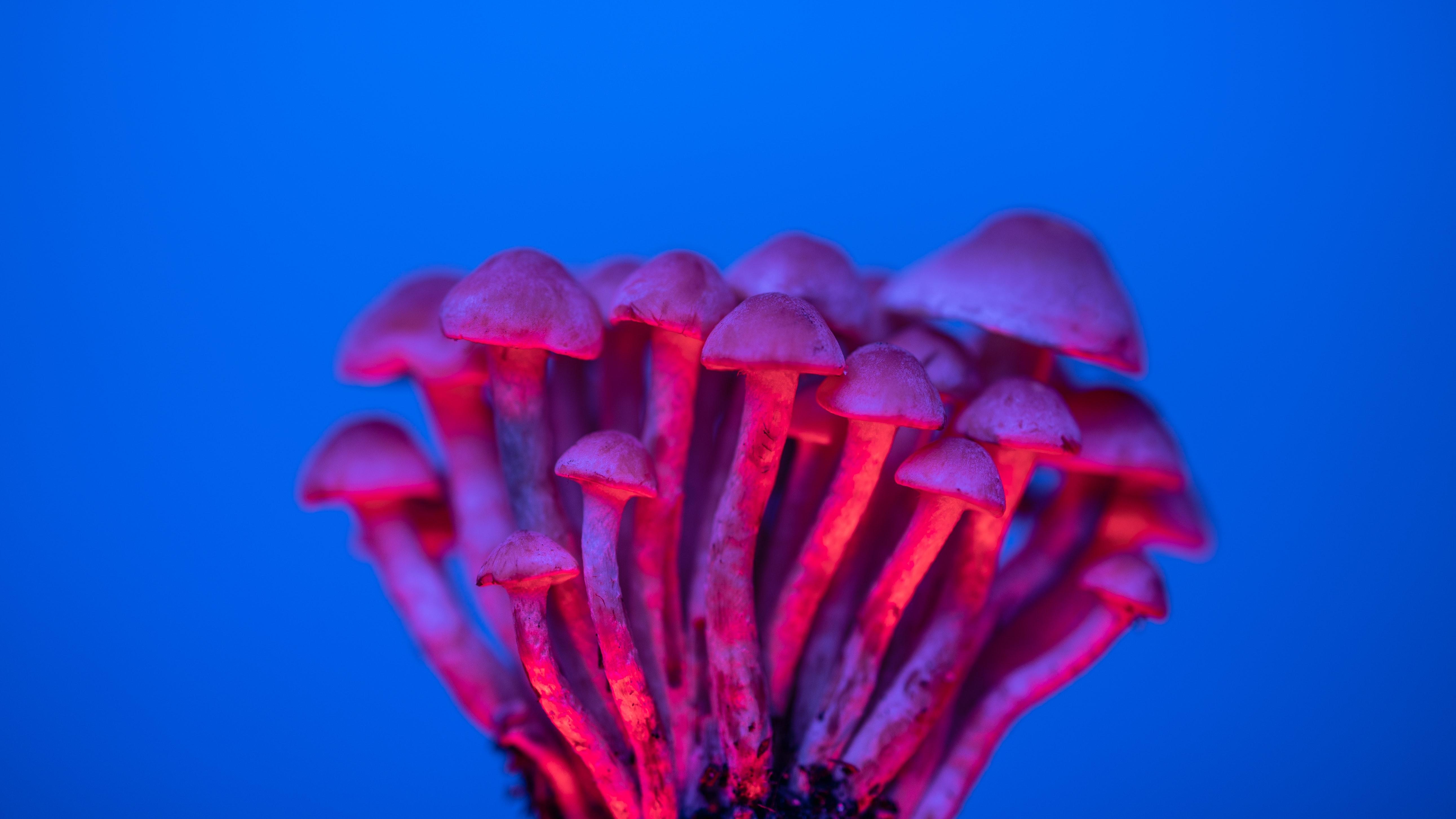 Study shows psilocybin offers cost-effective solution for major depression