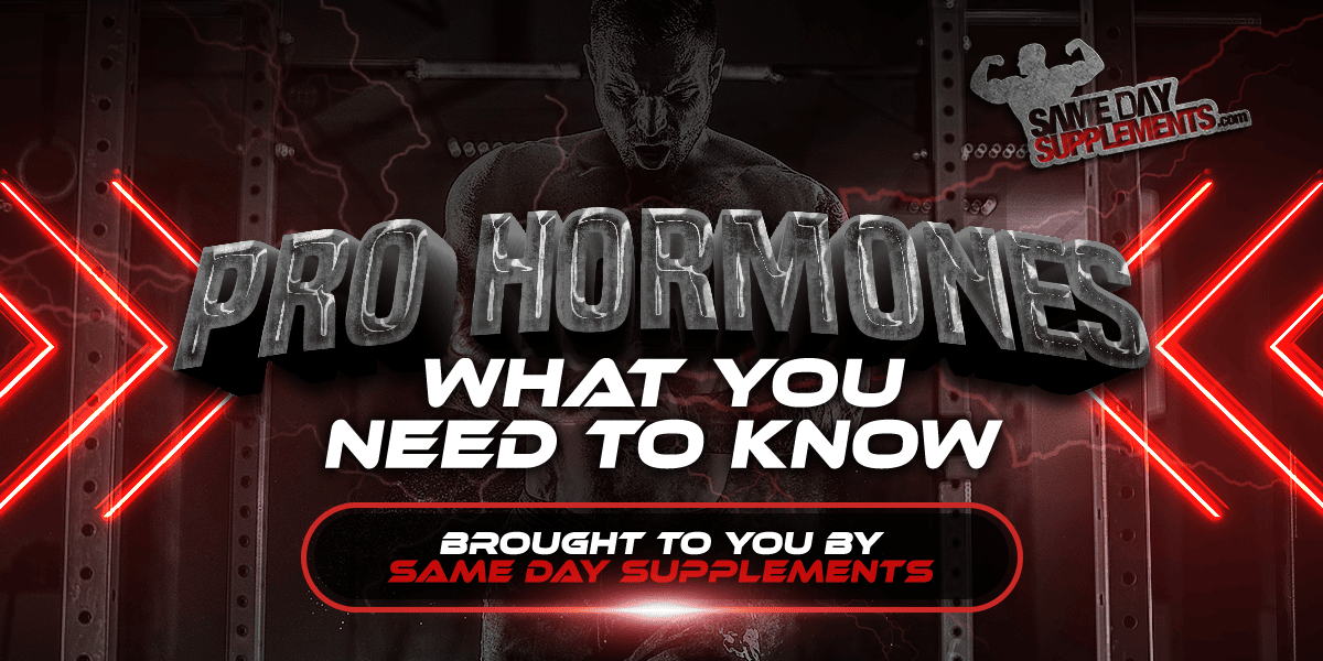 Pro Hormones – What You Need To Know In 2024 (Updated)