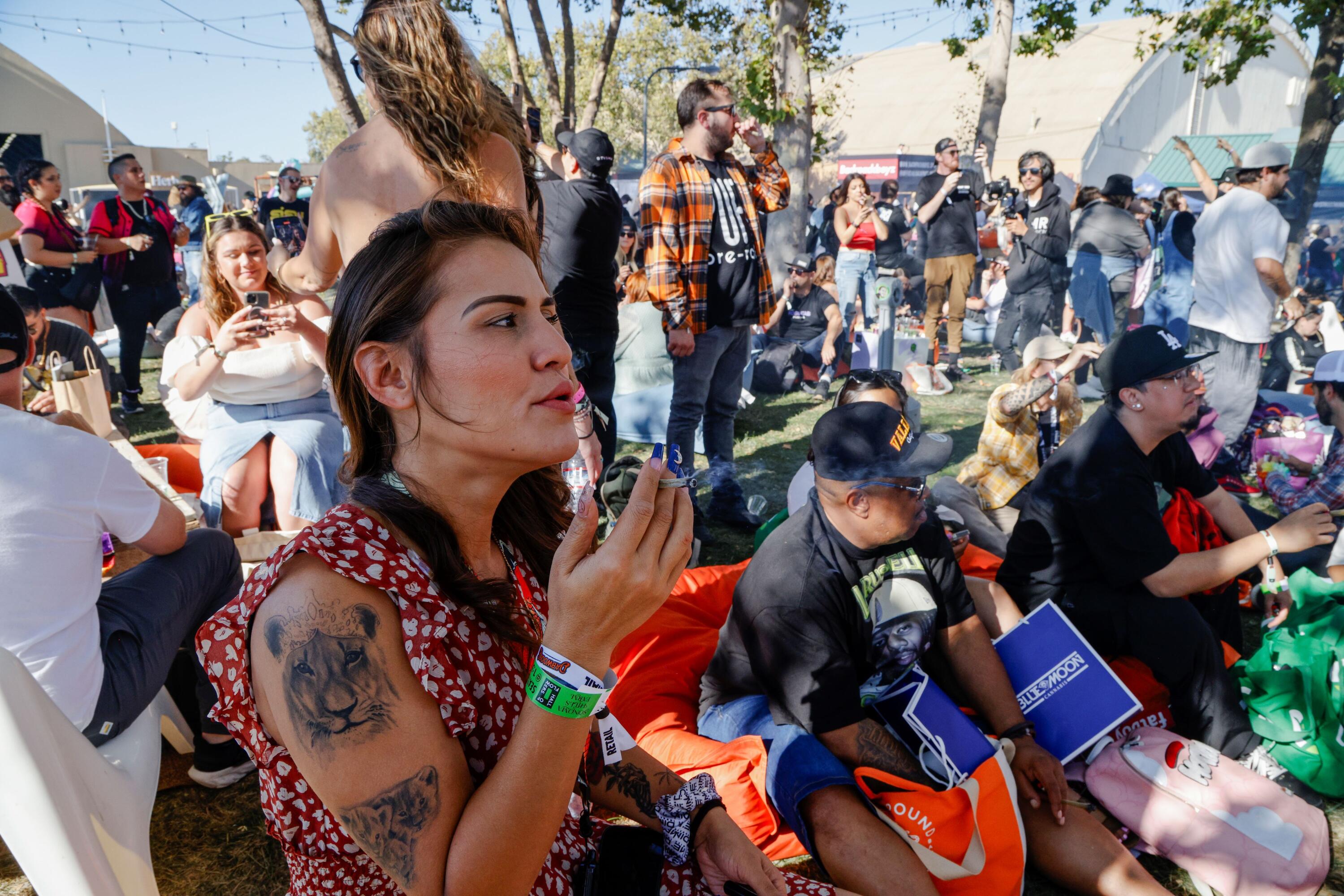 Santa Rosa cannabis festivalgoers set world record for most joints lit at one time