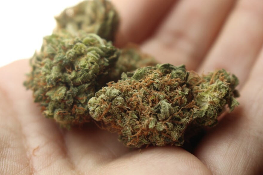 Is today's marijuana too strong?
