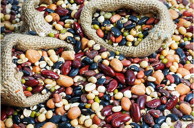 Why beans are a natural superfood