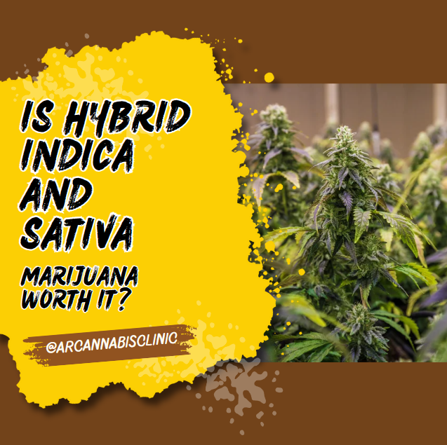 Is Hybrid Indica And Sativa Marijuana Worth It?