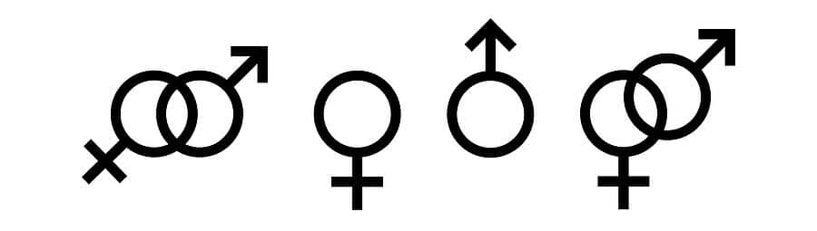 Sex Hormones and Your Brain