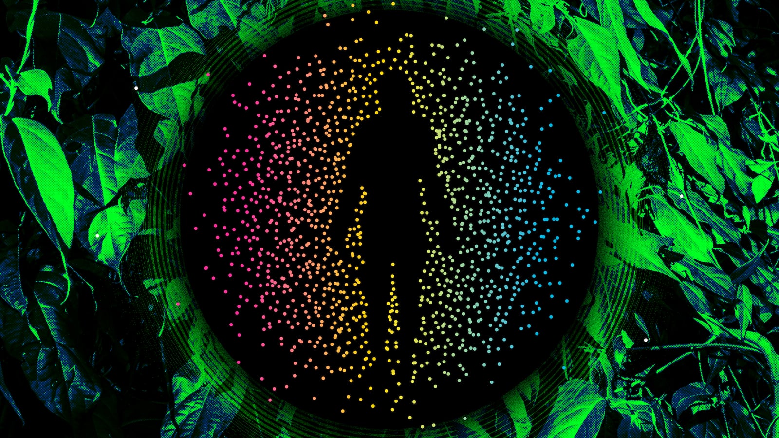 Here’s Why Ayahuasca Offers Such a Uniquely Powerful Psychedelic Purge