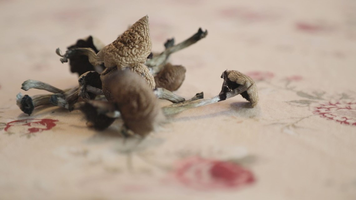 2 Colorado middle school students overdose on psilocybin mushrooms