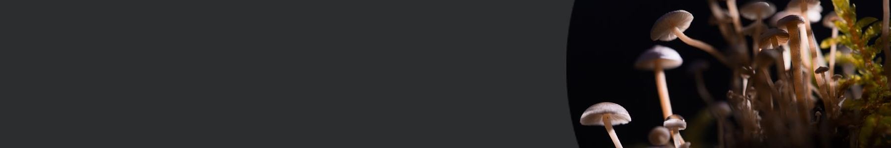 Designing a Clinical Trial for a Psychedelic Drug