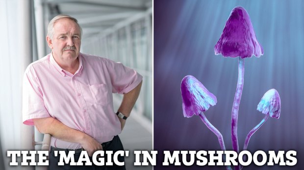 How ‘magic mushrooms’ could transform medicine – from treating depression to gambling and addiction