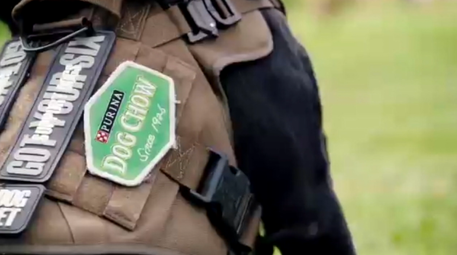 Organizations work to make PTSD service dogs more accessible for veterans