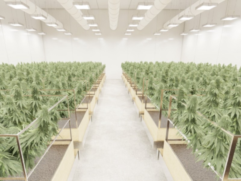 Plans approved for first on-Island medicinal cannabis cultivation facility