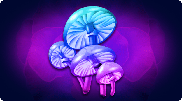 Buy Magic Mushroom Spores: Top 4 Strains To Try