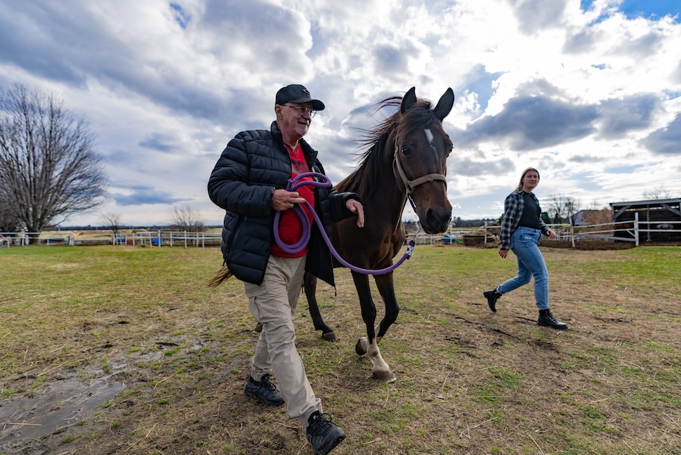 Canadian Army veterans traumatized from service connect with horses in therapy