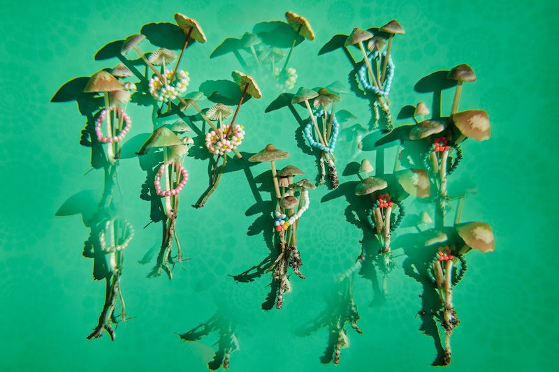 “Magic mushroom” therapy could treat depression, study finds