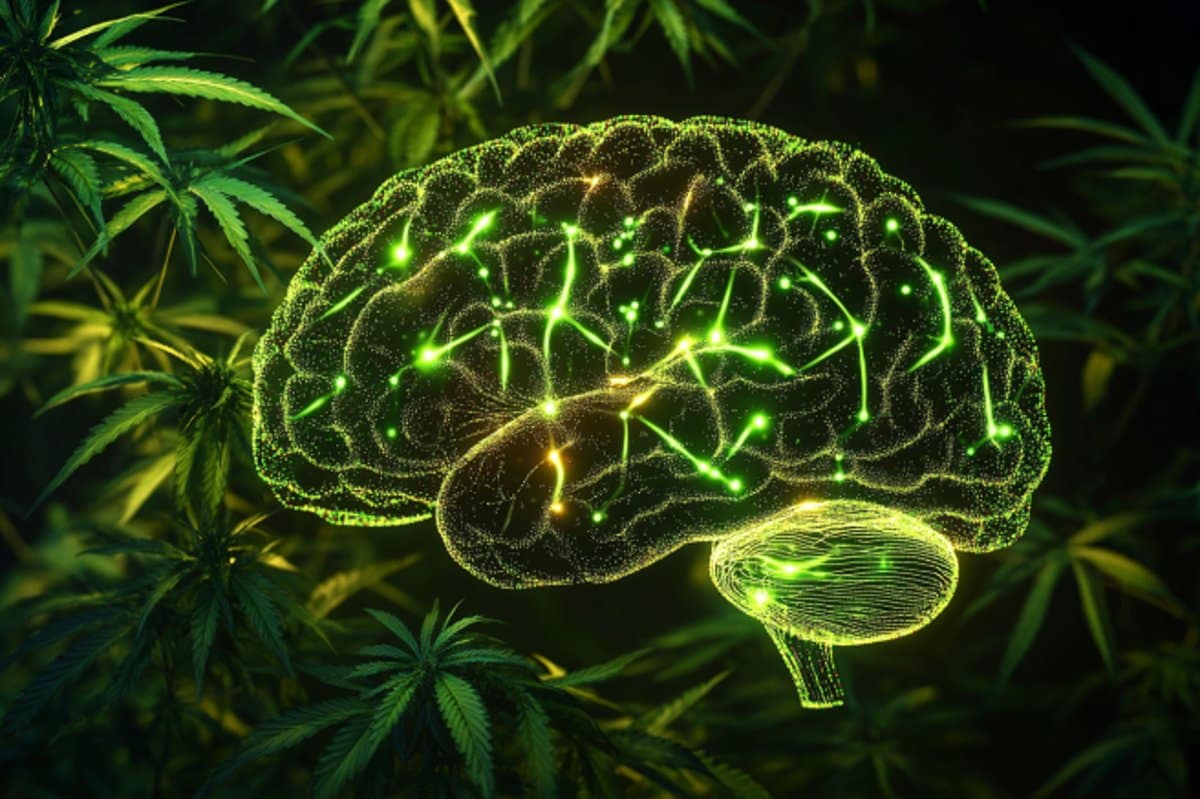 Can Cannabis Help ADHD?