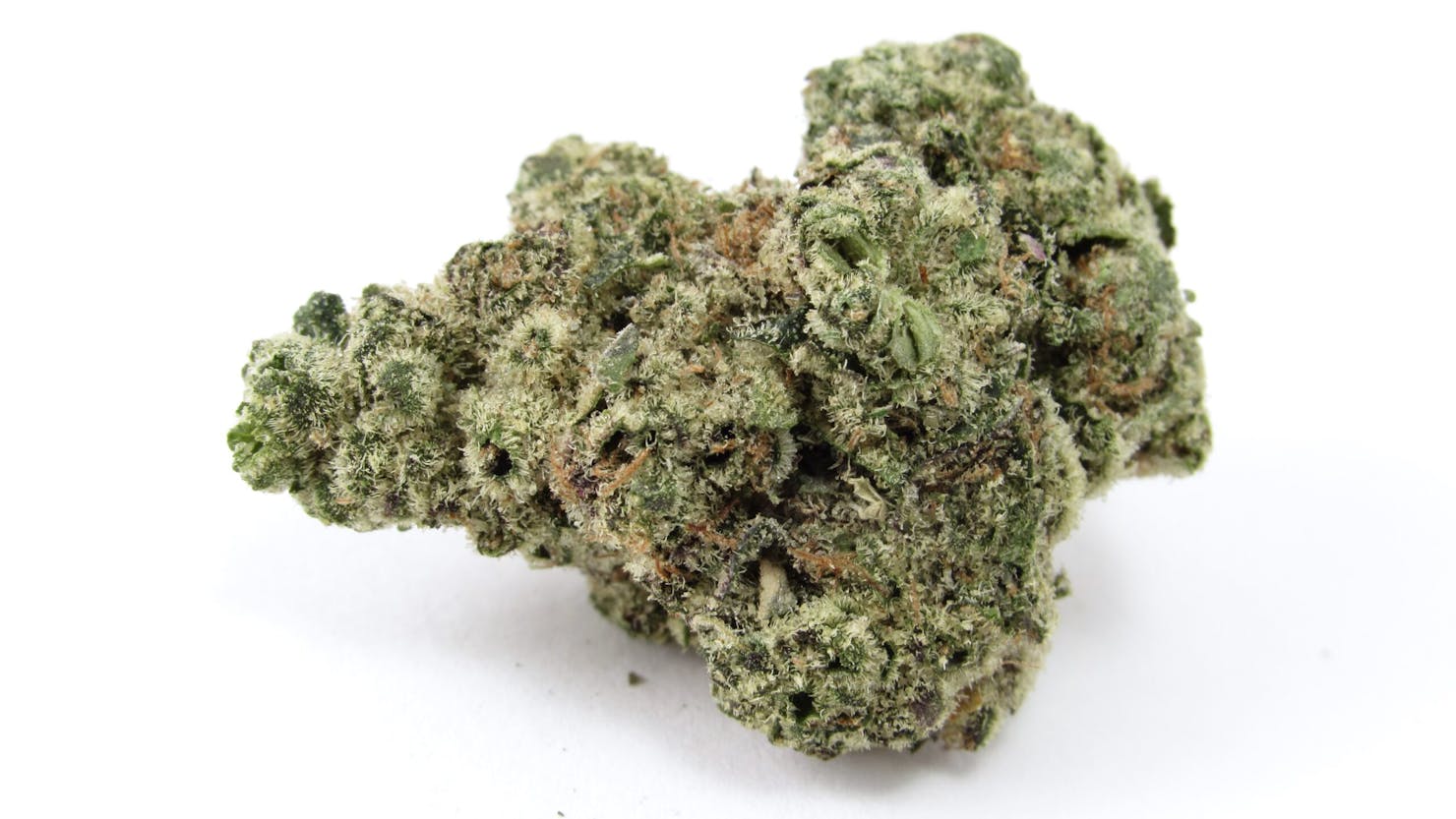 Eat, drink, and be merry with Donny Burger—December 2024’s Leafly HighLight