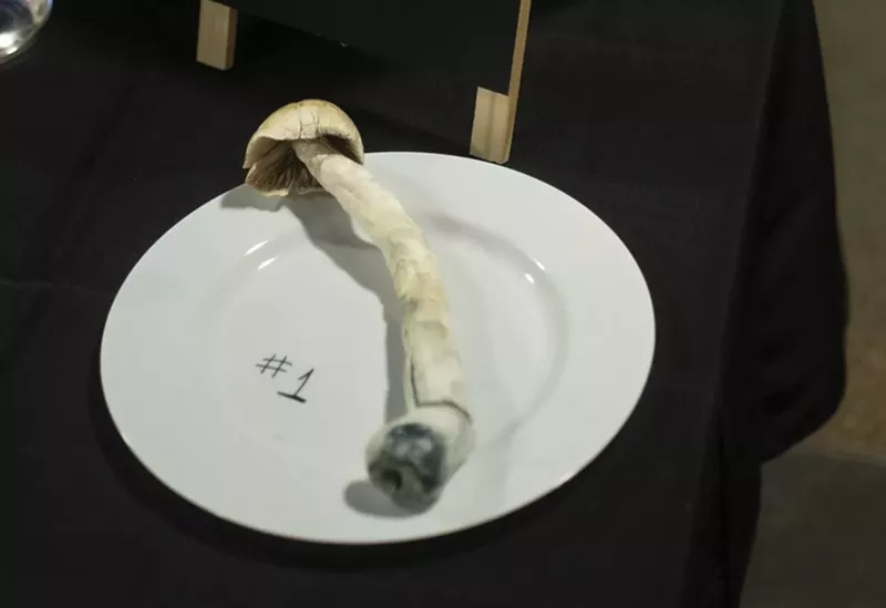 Colorado Announces Start Date for Psychedelic Business Applications