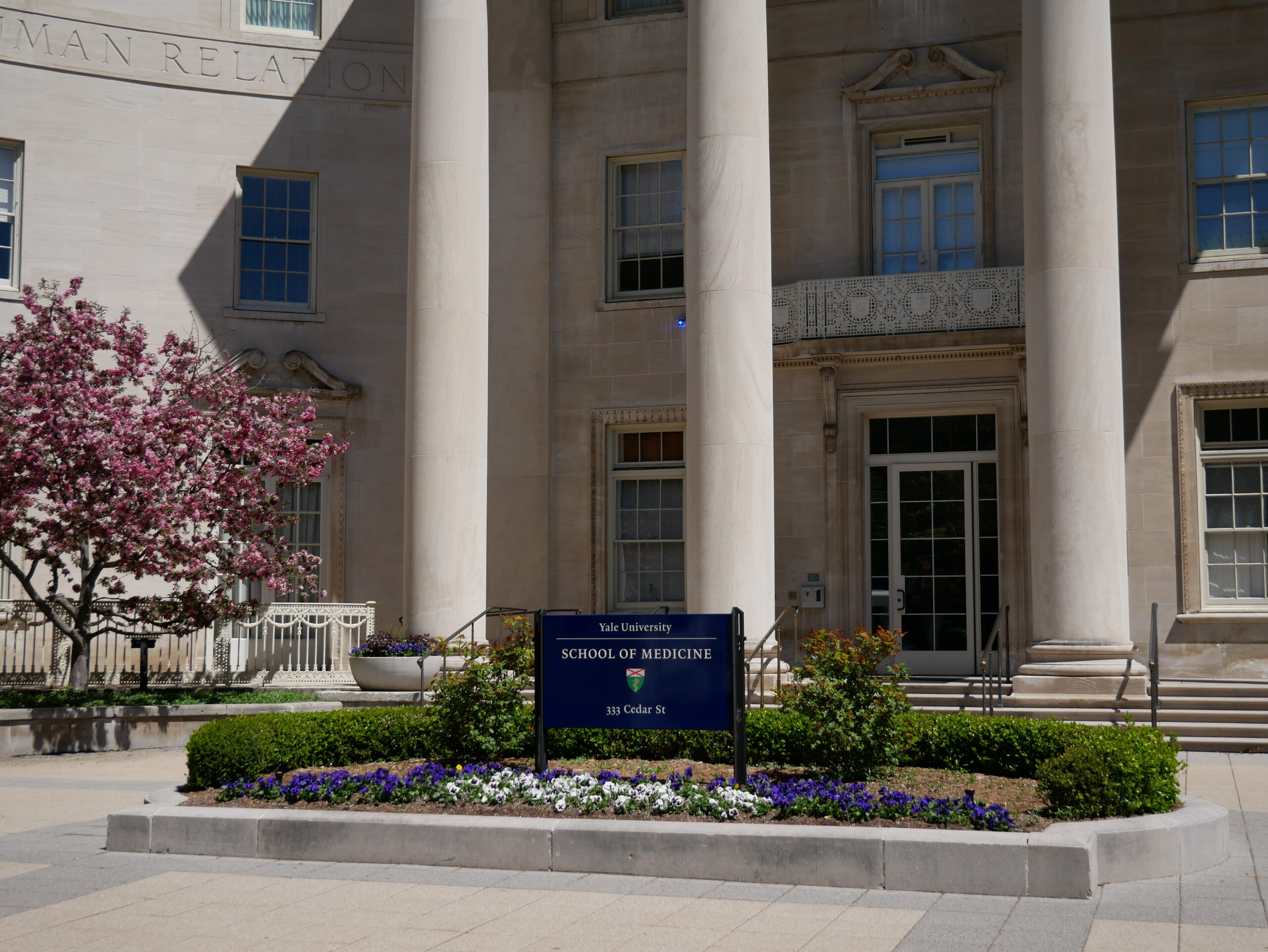 Mind-altering remedies: inside the new wave of psychedelic research