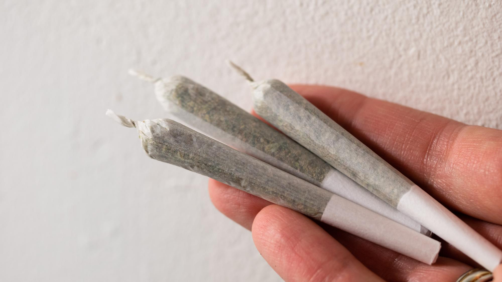 Ultimate Beginners Guide To THCA Pre-rolls