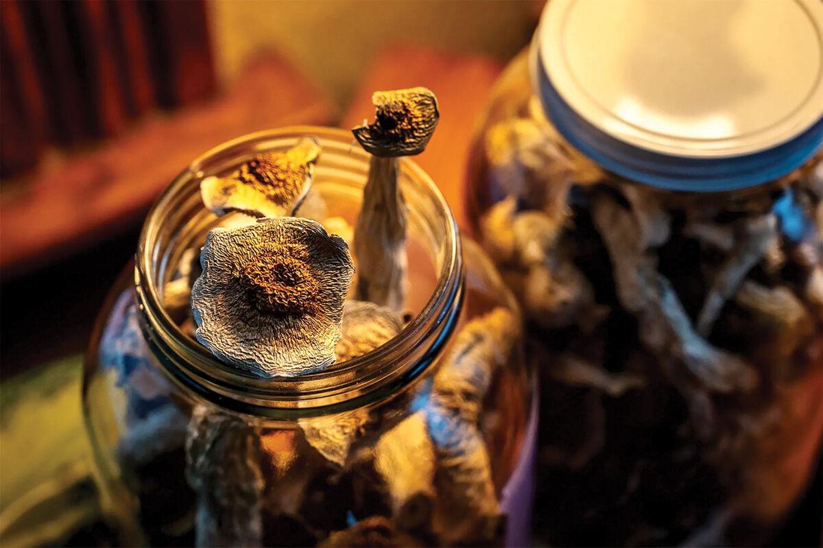 Research continues on magic mushroom use