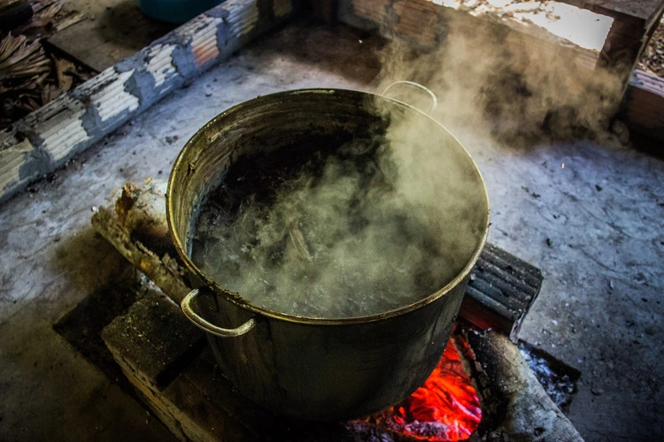 Largest-Ever Study on Ayahuasca Reveals Its Potential to Boost Mental Health and Well-Being