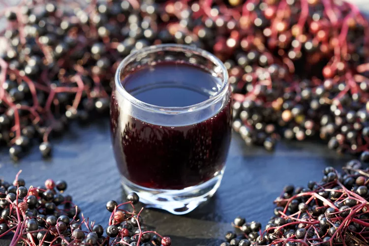 Could Elderberry Juice Help You Lose Weight? Here's What the Latest Research Says