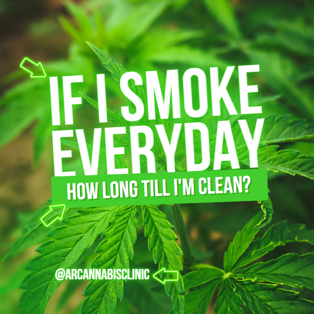 If I Smoke Everyday How Long Till I'm Clean?