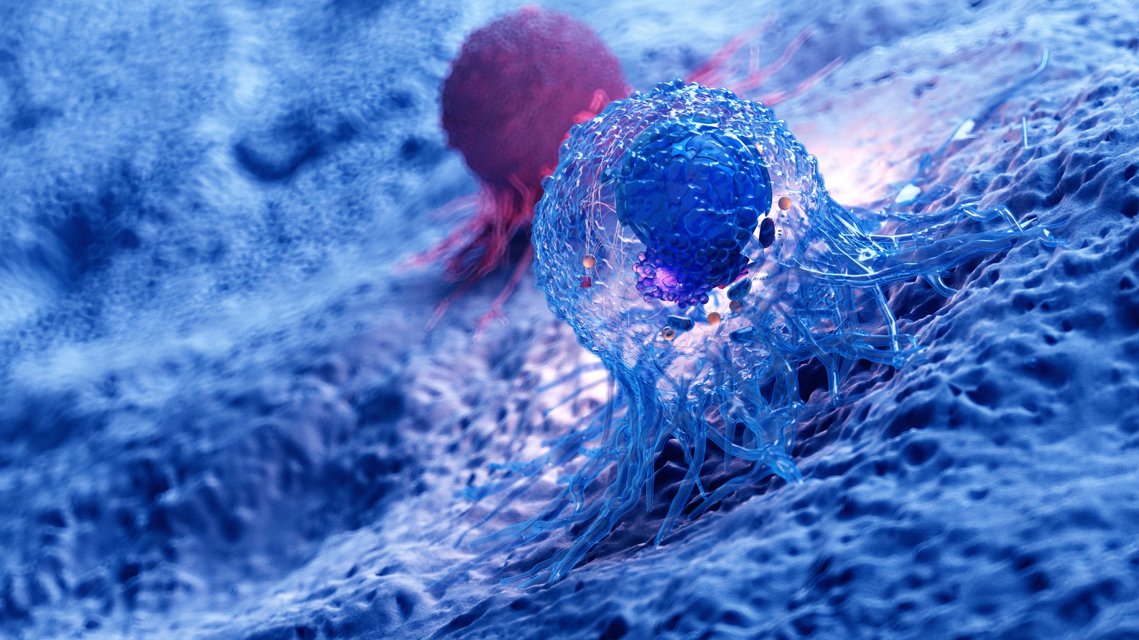Artificial Intelligence Makes Possible a Multiomic Approach in Oncology Drug Discovery