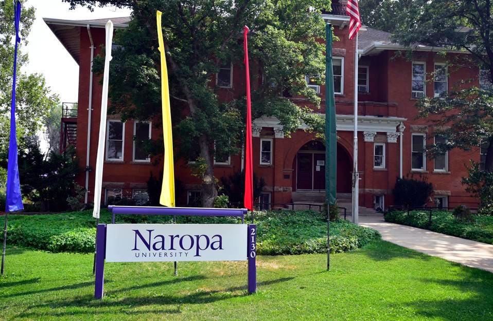 Naropa University Unveils $1.5M Grant For Psychedelics Studies Minor