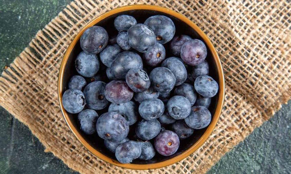 Blueberry Ingredient Market is Booming Worldwide with Ocean Spray, Dole, Del Monte