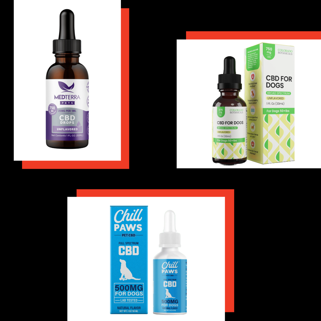 The Best CBD Oil for Dogs