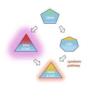 Delta-8 and Delta-9 THC: What's the Difference?