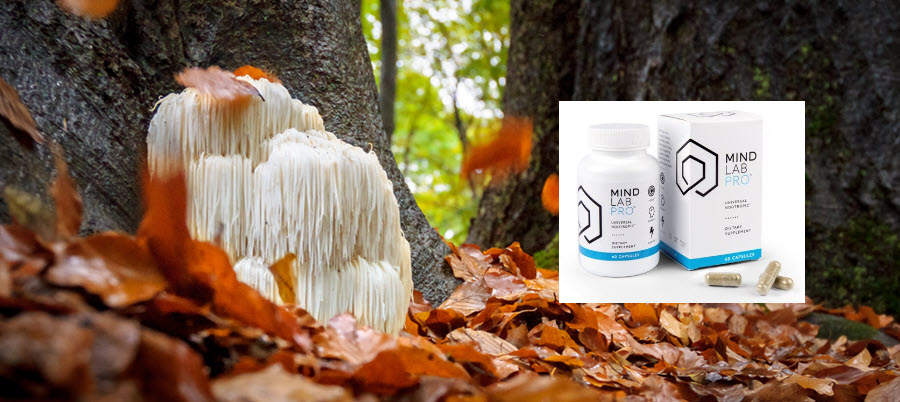 Mind Lab Pro vs Neuriva