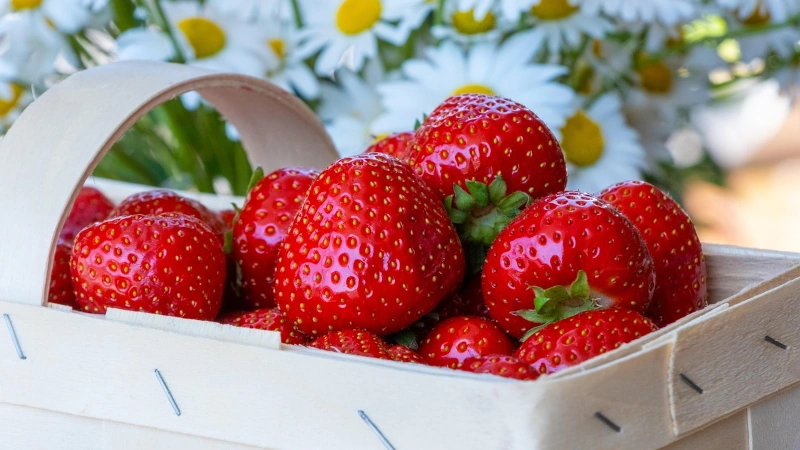 Can Strawberries Slow Down Aging? Exploring Their Impact on Brain, Heart, And Gut Health