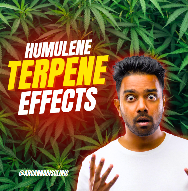 Humulene Terpene Effects