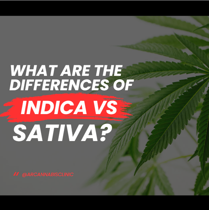 What Are The Differences Of Indica Vs Sativa?