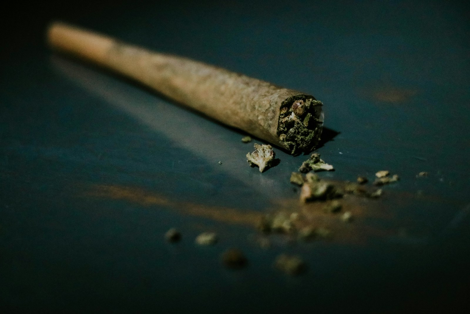 New study points to dangers of marijuana use
